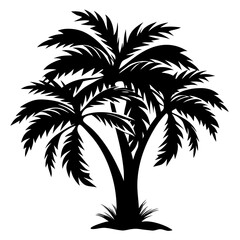 Obraz premium Silhouette of a lush palm tree with broad fronds, black and white