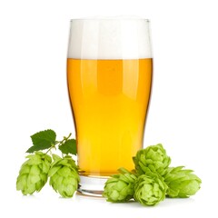 Beer and Hops in Pint Glass on White