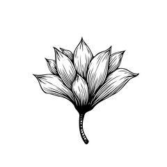Elegant hand sketched botanical illustration showcasing a minimalist floral arrangement suitable