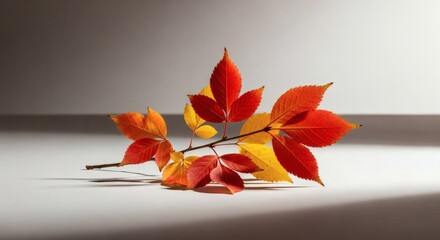 Fall leaves transition from green to yellow to orange to red, showcasing the season's vibrant colors with a warm, inviting light.