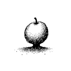 Single stylized apple with pronounced shadow detail showcasing intricate black and white drawing