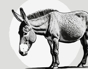donkey sketch vector graphics