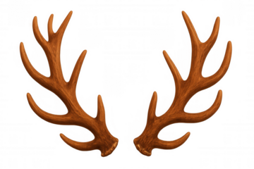 Brown deer antlers resting symmetrically, transparent background showcasing intricate natural texture for wildlife graphic design projects