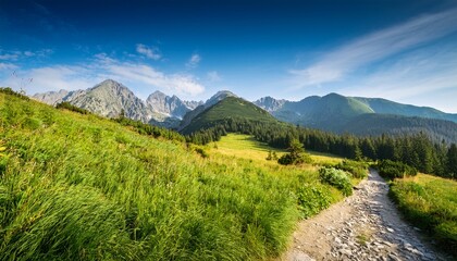 Fototapeta premium a scenic trail through green valleys with tatra mountains in background
