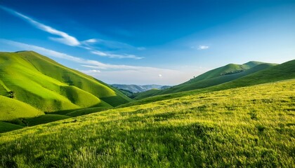 vibrant green grass hills under a clear blue sky perfect for nature themed projects and backgrounds