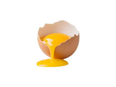 Cracked open eggshell with yolk spilling out

