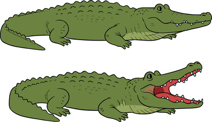 Funny cartoon crocodile set, alligator illustration with open and closed mouth, green reptile clipart, animal character design isolated