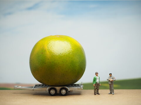 Mini toy of action figure at table with blurred background. Miniature photography concept design. Minifigure of farmer character with orange fruit at truck.