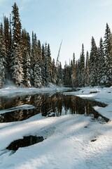 Winter landscape with snowy trees and a calm river reflecting the forest scenery