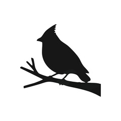 Northern Cardinal Silhouette. Elegant, minimalist illustration of an avian figure perched on a bare branch. This stark monochromatic design symbolizes hope, resilience, and natural beauty.