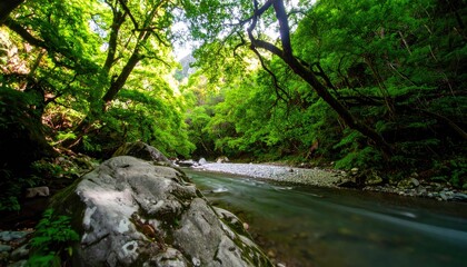 Fototapeta premium Winding River Through Lush Tropical Forest