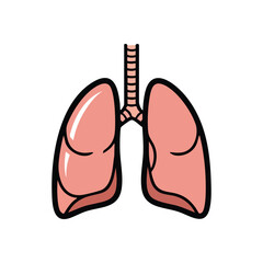 Human Lungs Anatomy Illustration. Vibrant graphic depicting the vital respiratory organs. This medical diagram symbolizes breathing, life, and overall well being.