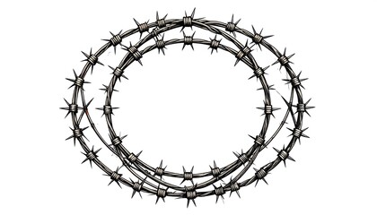 Circular barbed wire frame (1)