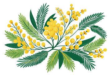 Yellow Mimosa Flower Branch Isolated on White Background – Acacia Dealbata Blossom Illustration