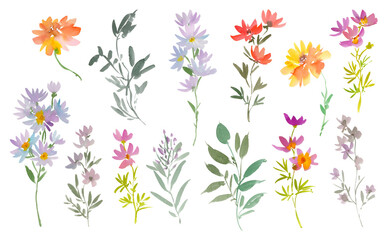 Watercolor Autumn floral clipart set with abstract hand painted wildflowers and leaves. PNG files. Elegant fall floral illustrations for pattern, wedding invitations and stationery.