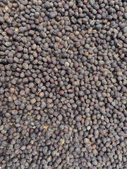 Overhead View of Dried Natural Process Coffee Cherries