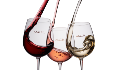 Wine pouring into glasses, red, ros?, white wine, beverage, drink, alcohol, celebration, splash, liquid, elegant, luxury, food and drink, winery,  