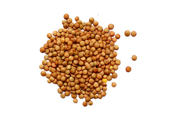 Nutritious brown lentils rich in protein.