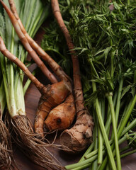 Freshly harvested roots with vibrant green leaves.