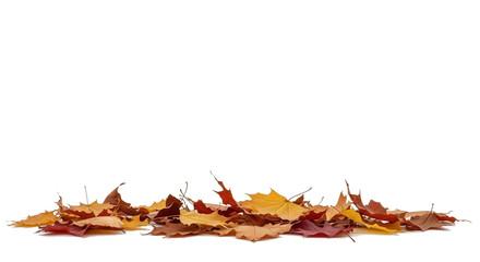 Pile of colorful autumn maple leaves isolated on a transparent background. The vibrant mix of yellow, orange, brown, and red foliage symbolizes fall season, nature, and change.