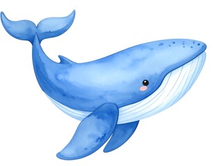 Watercolor Whale Illustration, Ocean Animal