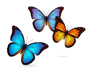 Obraz premium Three Butterflies in Flight, White Background