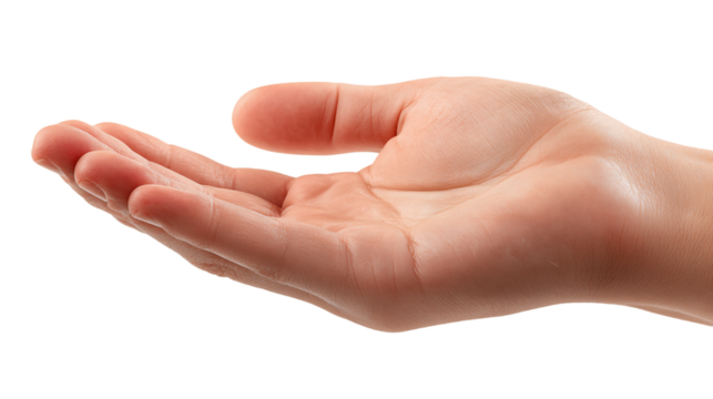 Open Woman's Hand on Transparent Background, PNG - Powered by Adobe