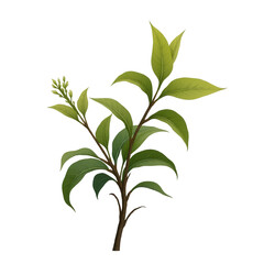 Obraz premium A detailed illustration of a leafy plant branch with vibrant green leaves and small blossoms, set against a stark black background.