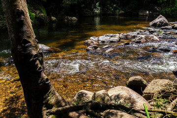 The serene beauty of a crystal-clear river winding between dark rocks and lush vegetation of the Atlantic Forest in Brazil. The water, clear and inviting, reflects the sunlight.