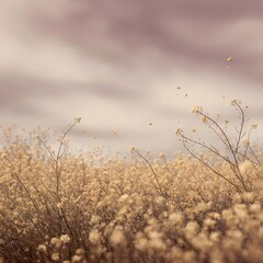 Obraz premium rapeseed flower fields