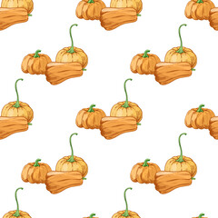Seamless pattern of autumn pumpkins and squash vegetable with green stems in hand drawn style