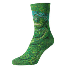 Chameleon sock design detailed green reptile print on crew sock isolated on white background