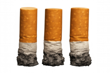 Cigarette butts displaying progressive stages of smoking, showcasing ash accumulation on neutral transparent surface