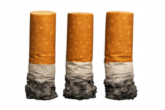 Cigarette butts displaying progressive stages of smoking, showcasing ash accumulation on neutral transparent surface