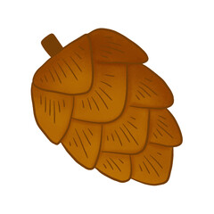 Pine Cone Illustration with Transparent PNG Background