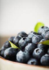 Fresh ripe garden blueberries in ceramic bowl. Summer berries.