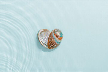 Seashells of abalone as heart, sea and ocean nature love concept, natural texture closeup shell on blue green waves background, pearl shine Haliotis, top view, earthy pastel color copyspace