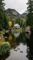 Fototapeta premium Serene pond scene w/house, 3 ducks. Autumn leaves +mountains