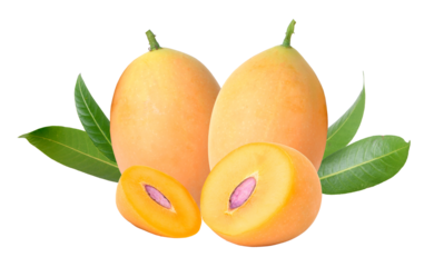 exotic marian plums with leaves on a black backdrop