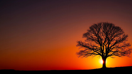 Obraz premium Lone Tree Silhouette at Fiery Sunset – Minimal Autumn Landscape with Sun on the Horizon and Gradient Sky