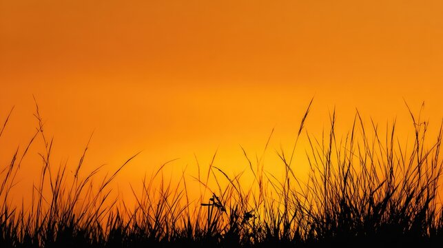 At sunset, the black grass silhouette in the gradient orange and yellow sky creates a tranquil and warm atmosphere, conveying a peaceful and resilient emotion.