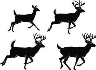 Running deer silhouette set featuring bucks and doe in dynamic leaping poses, showcasing motion, anatomy, and wildlife vector illustration