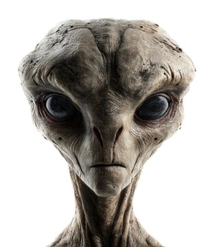 Extraterrestrial encounter science fiction alien portrait isolated on transparent background