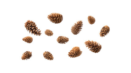 Fototapeta premium A pine cone delicately suspended mid-air, showcasing its natural beauty and intricate details