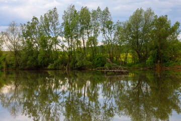 ​A quiet, peaceful landscape with an overgrown river reflecting the tall trees on the bank. A makeshift wooden raft is visible in the water, adding a special charm to the image.