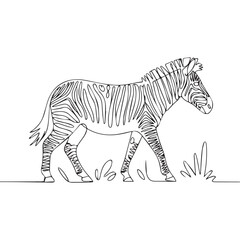 Continuous line of walking standing zebra .Single one line art of wild zebra , One continuous line illustration of an zebra isolated on white background.