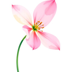 Fototapeta premium Elegant Watercolor Pink Bloom Art