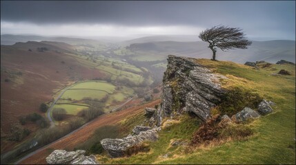 A dramatic landscape view from a high vantage point, showcasing a solitary windswept tree atop a craggy outcrop, with rolling hills and a winding road below, bathed in a muted light.