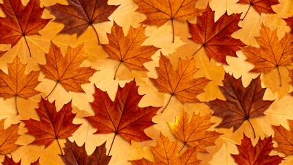 Fototapeta premium Autumn maple leaves background in warm orange and brown colors