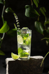 Mojito cocktail with lime and mint in highball glass on black background